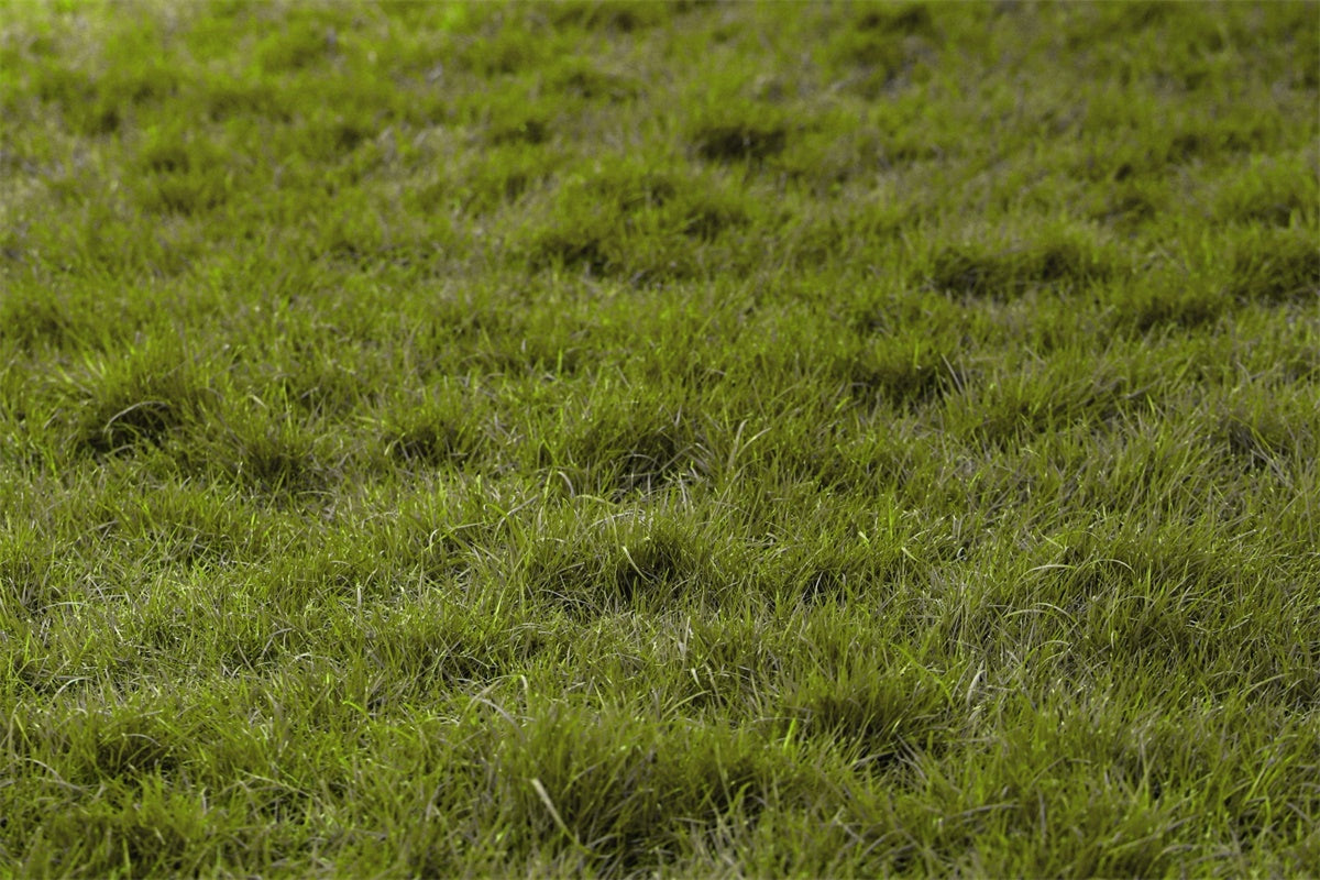 Floor Backdrop Photography Natural Turf Grass Floor Backdrop TWW57-27