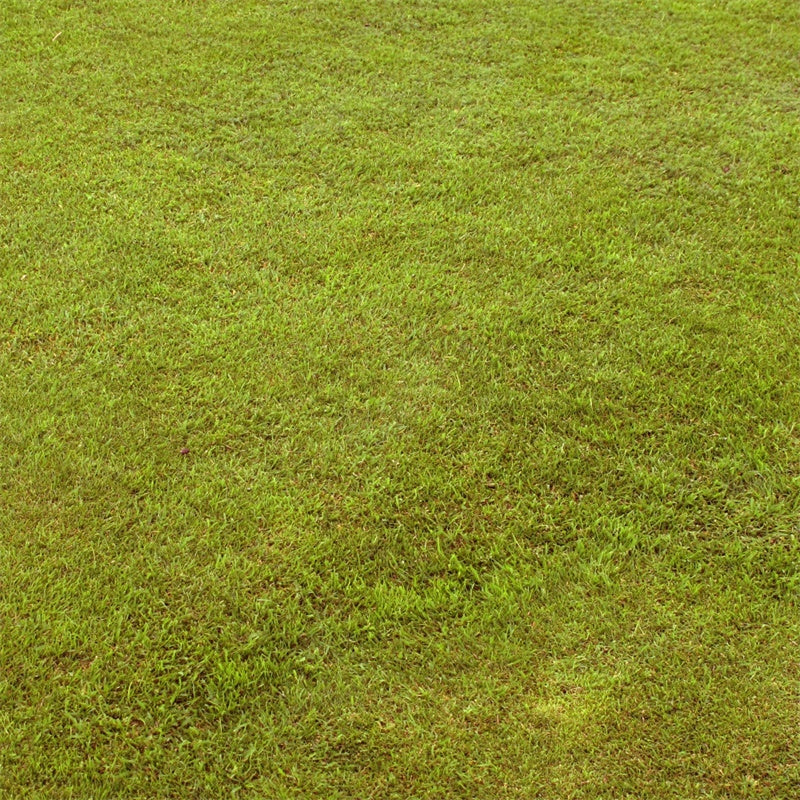 Photo Backdrop Floor Pastel Green Grass Floor Backdrop TWW57-3