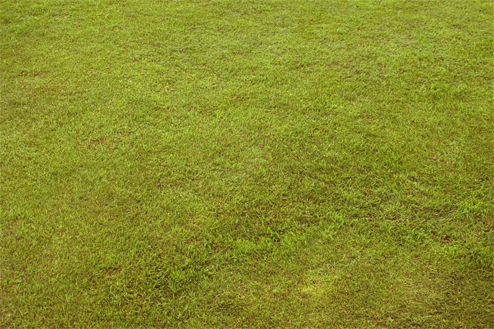 Photo Backdrop Floor Pastel Green Grass Floor Backdrop TWW57-3