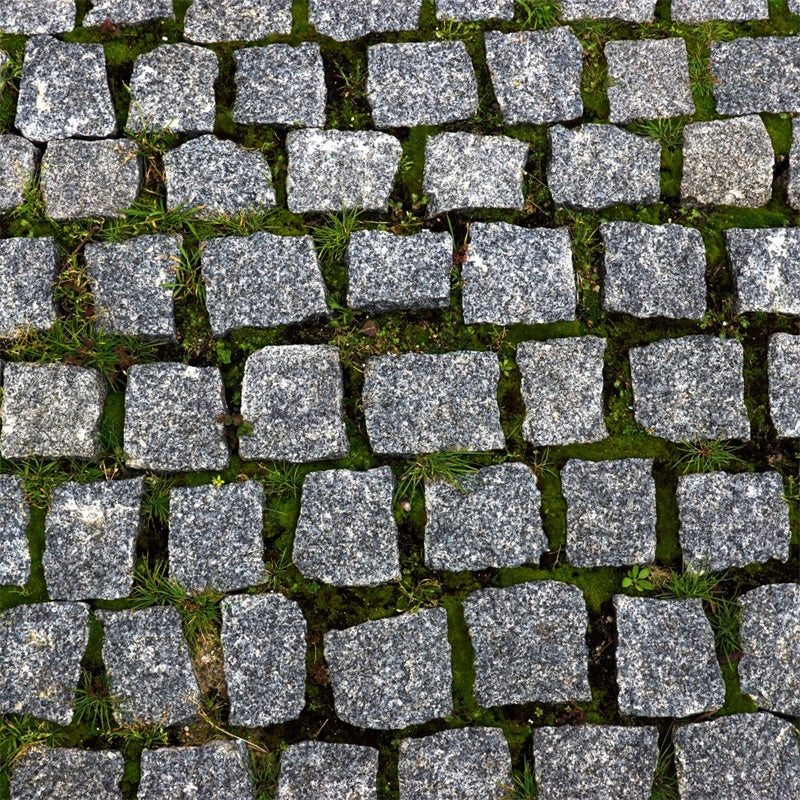Floor Backdrops Cobblestone Moss Path Floor Backdrop TWW57-4