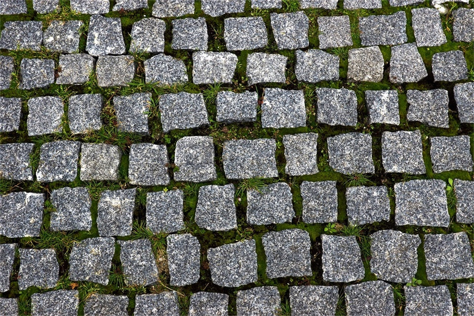 Floor Backdrops Cobblestone Moss Path Floor Backdrop TWW57-4