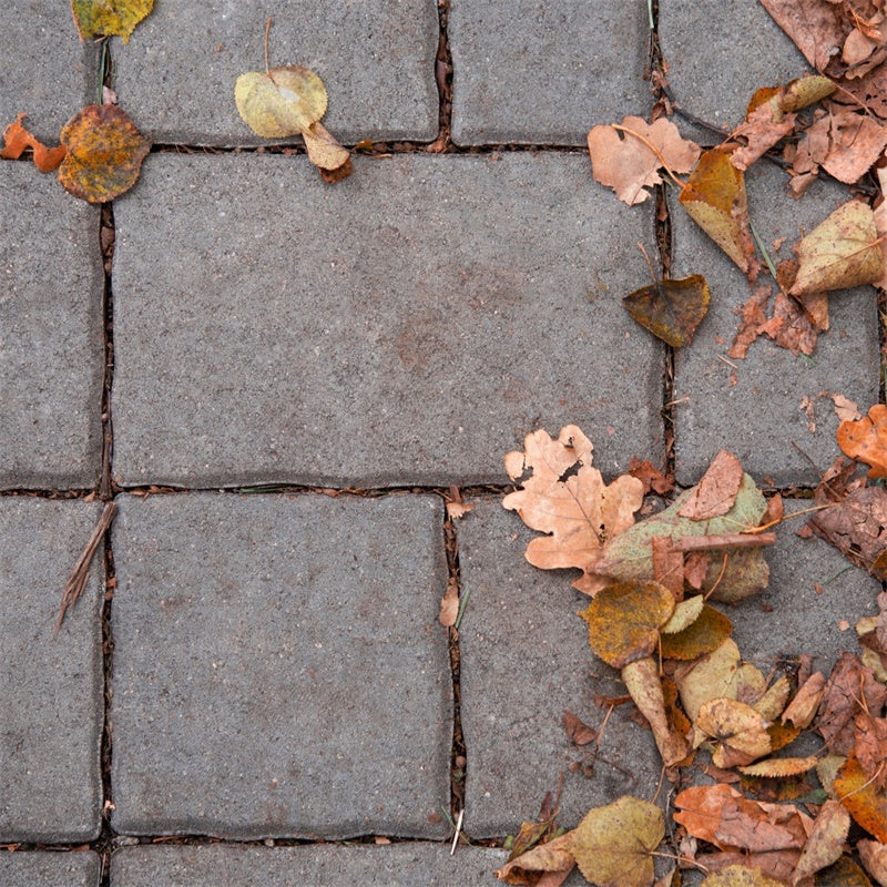 Photography Floor Backdrops Fall Leaves Brick Floor Backdrop TWW57-7