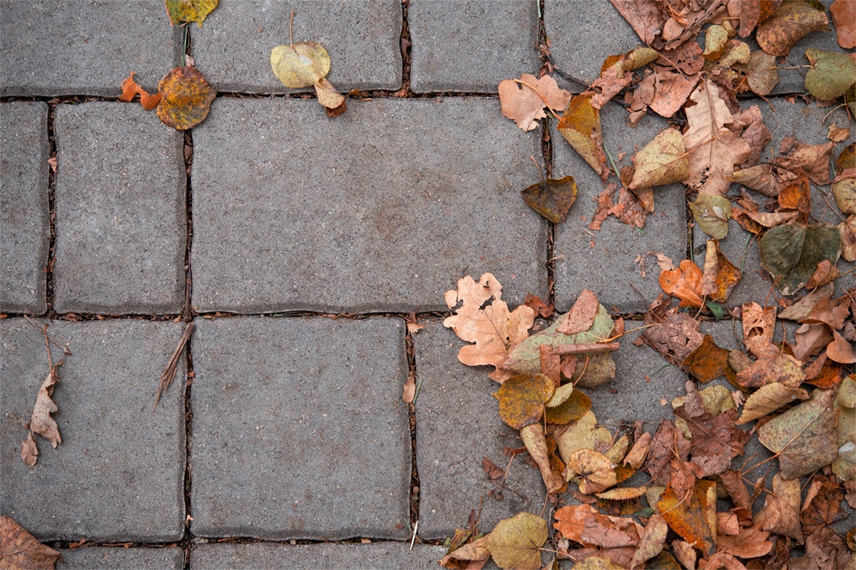 Photography Floor Backdrops Fall Leaves Brick Floor Backdrop TWW57-7