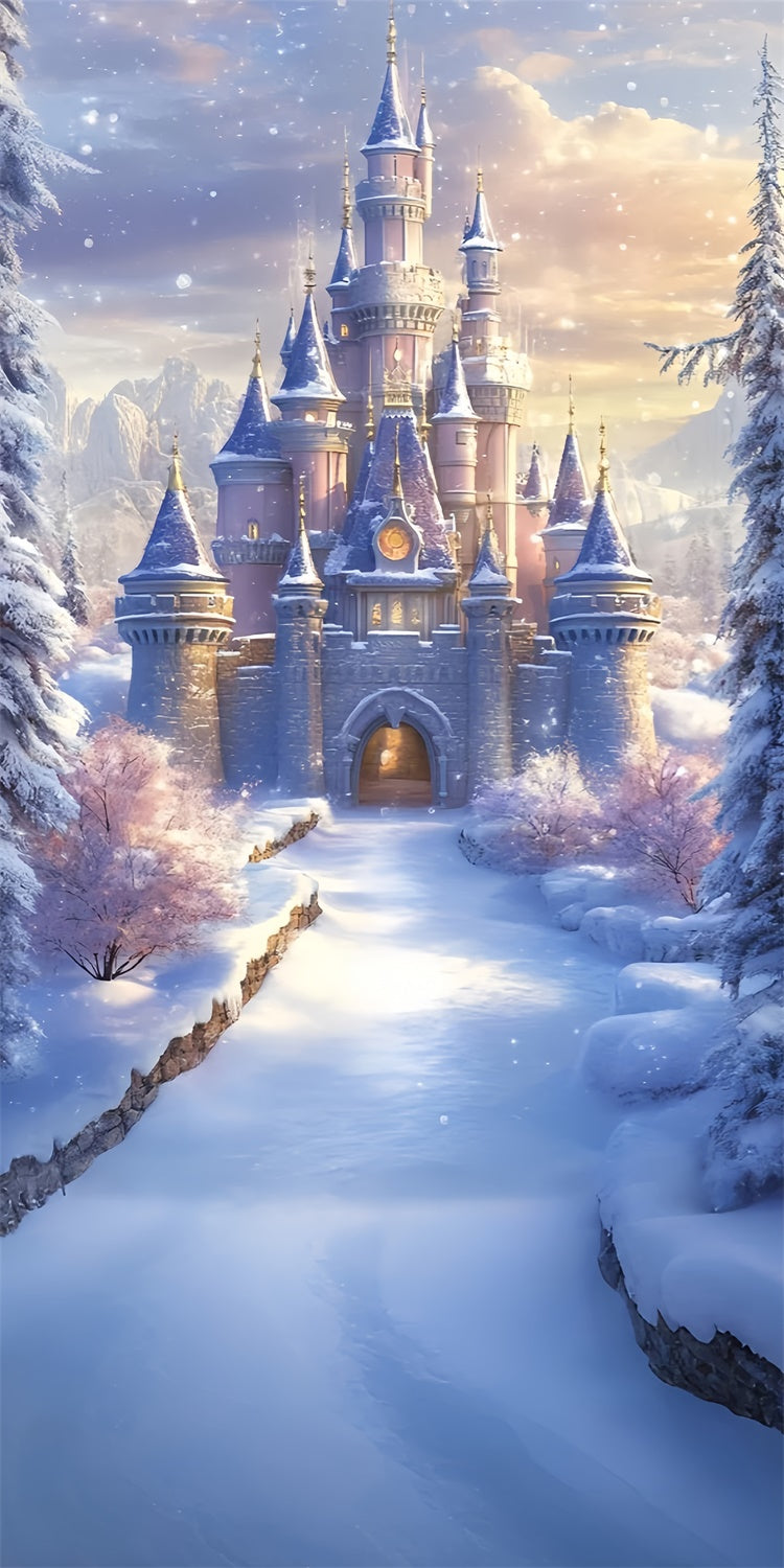 Winter Photo Backdrop Royal Winter Castle Sweep Backdrop TWW57-98