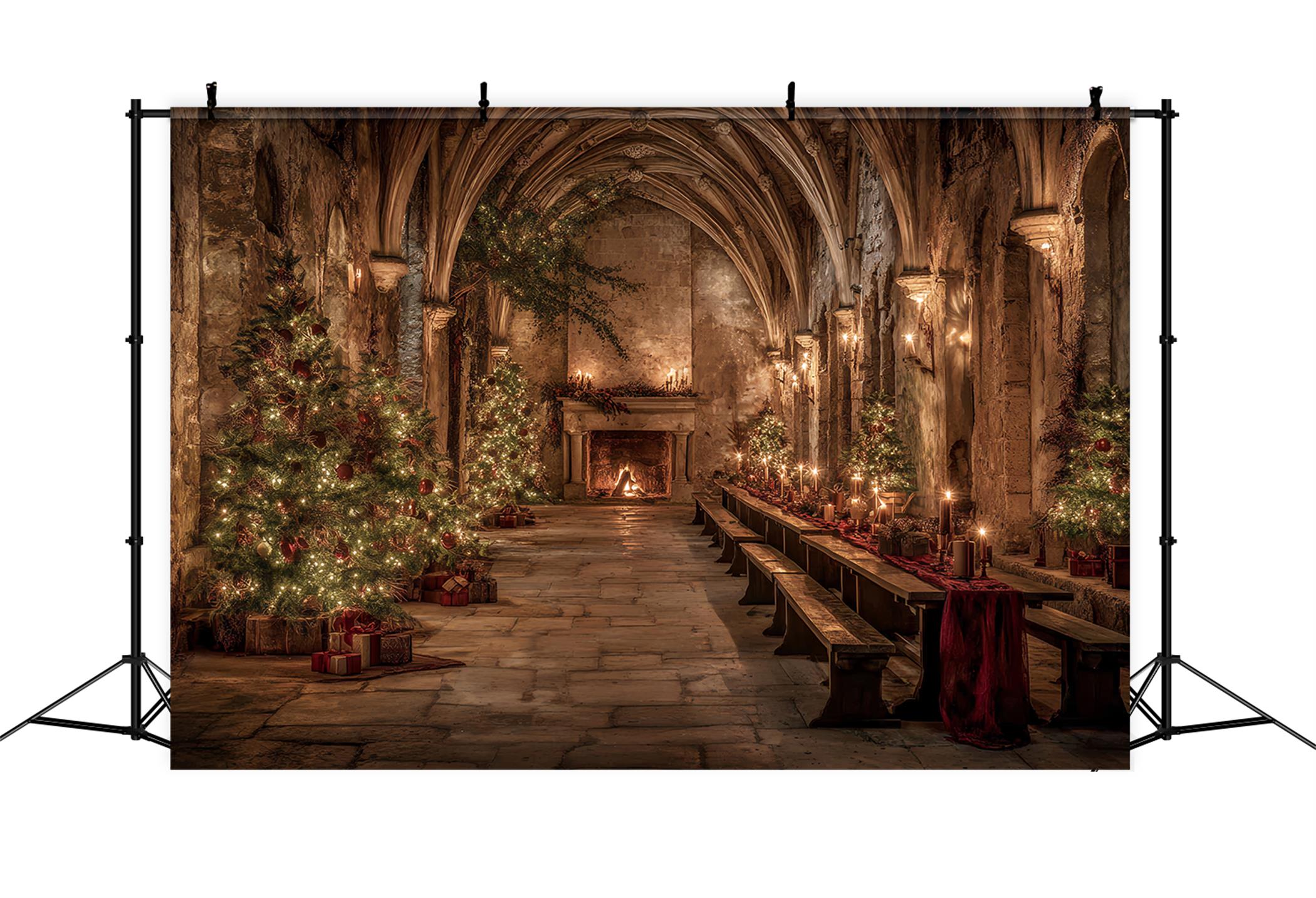 Church Backdrop Medieval Banquet Hall Christmas Professional Christmas Backdrops TWW59-112