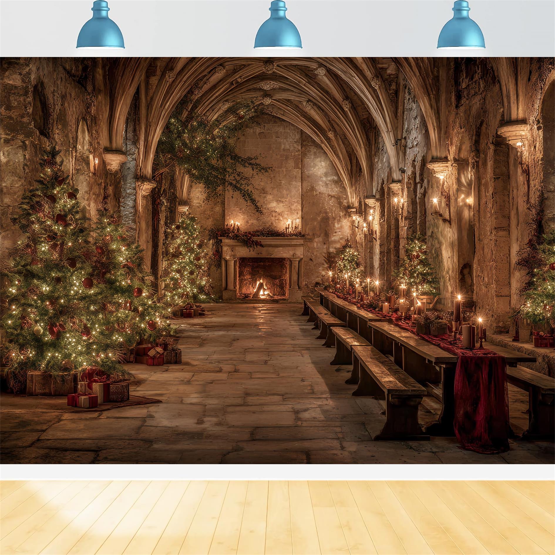 Church Backdrop Medieval Banquet Hall Christmas Professional Christmas Backdrops TWW59-112