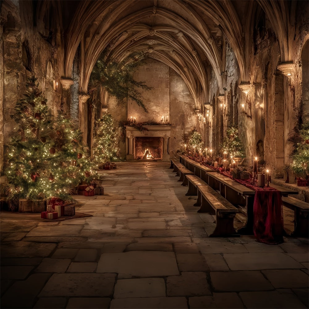 Church Backdrop Medieval Banquet Hall Christmas Professional Christmas Backdrops TWW59-112