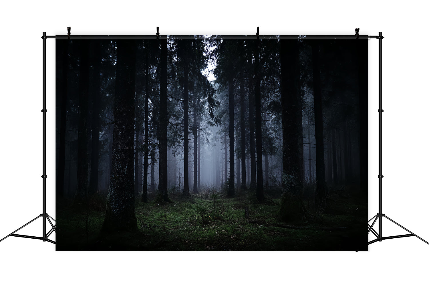Spooky Forest Backdrop Dark Misty Pine Woods Dark Forest Backdrop TWW59-132