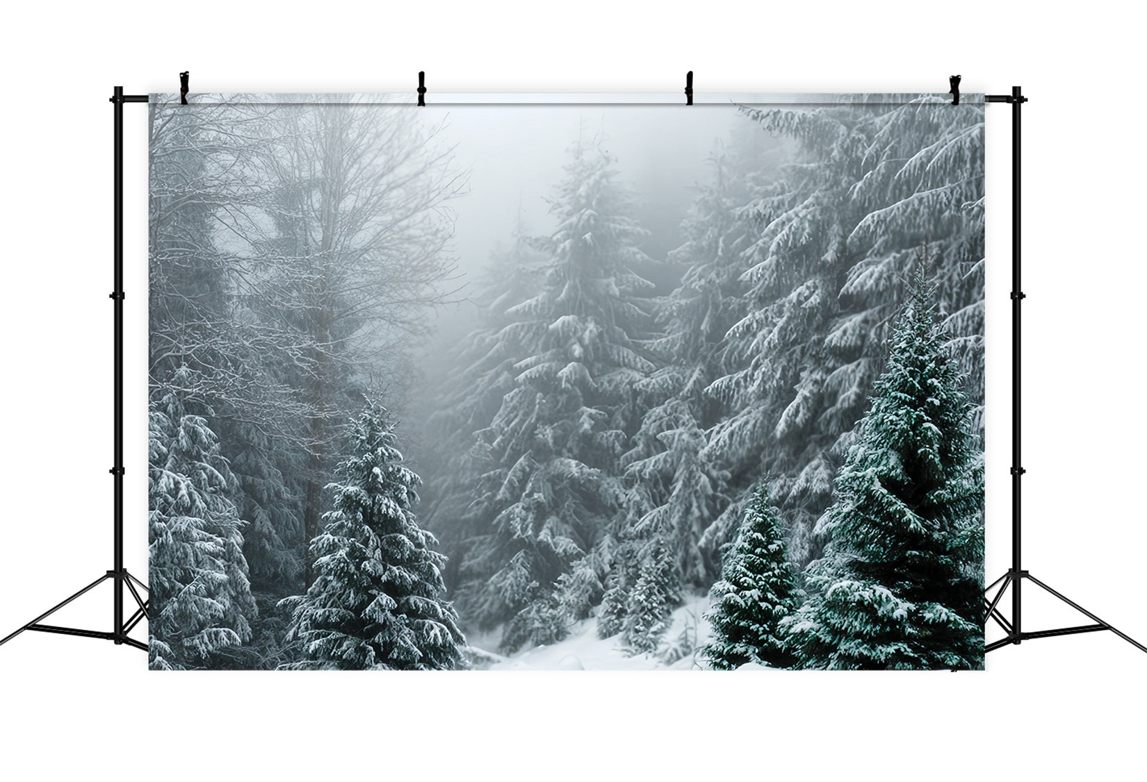 Winter Forest Backdrop Frosted Evergreen Silence Snow Forest Backdrop TWW59-134