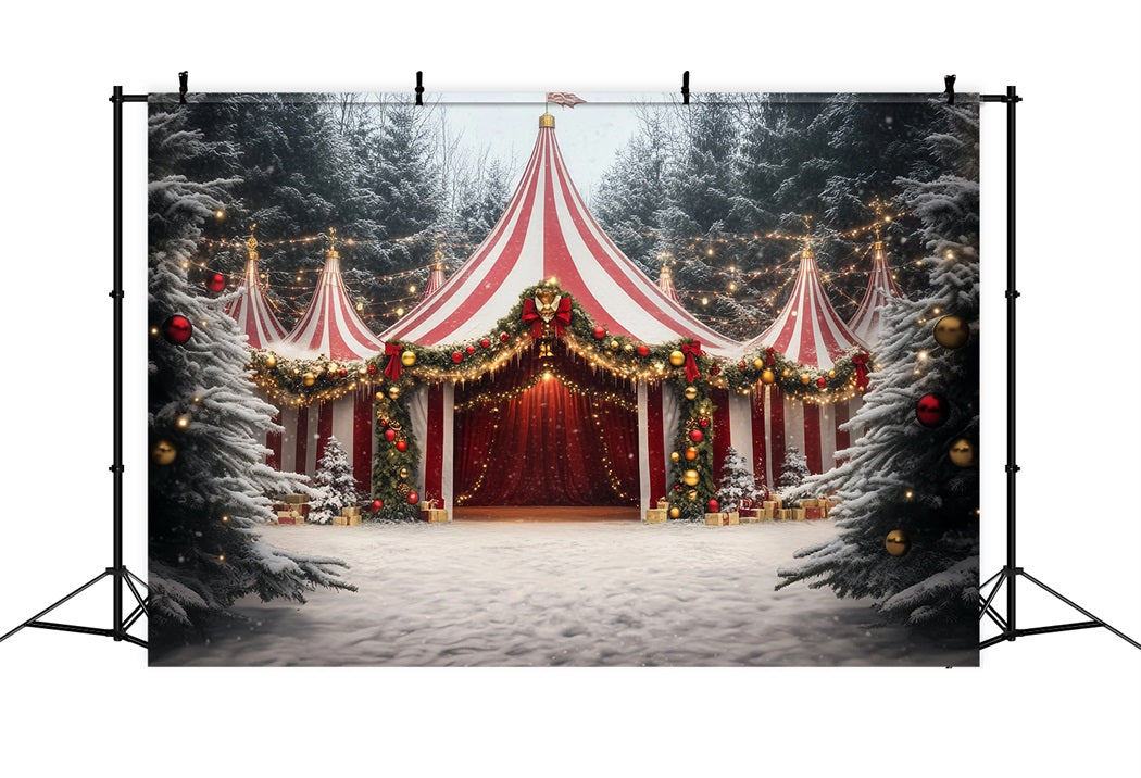 Carnival Tent Backdrop Christmas Garland Festive Tent Photography Circus Backdrop TWW59-14