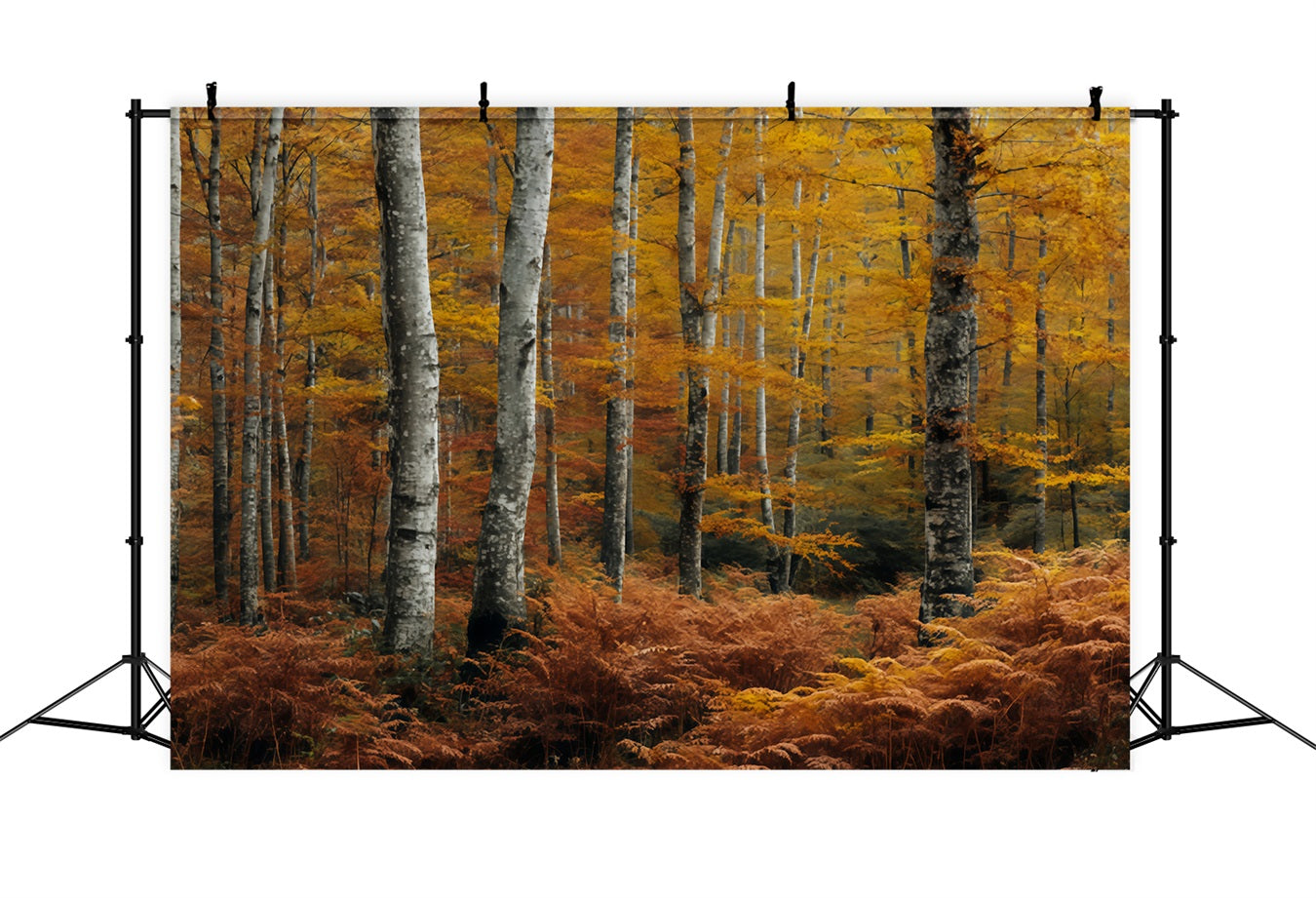 Fall Forest Backdrop Golden Autumn Birch Woods Forest Scene Backdrop TWW59-149