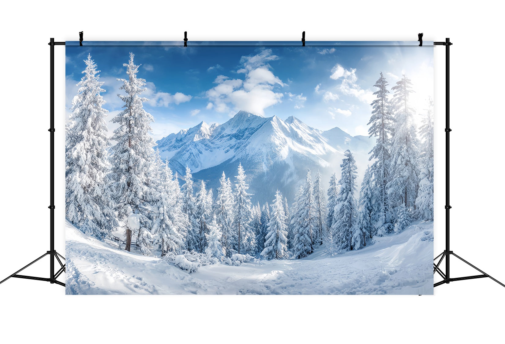 Snowy Forest Backdrop Winter Mountains Pine Valley Forest Backdrop TWW59-153