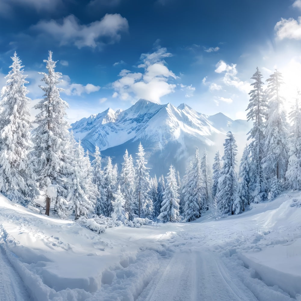 Snowy Forest Backdrop Winter Mountains Pine Valley Forest Backdrop TWW59-153