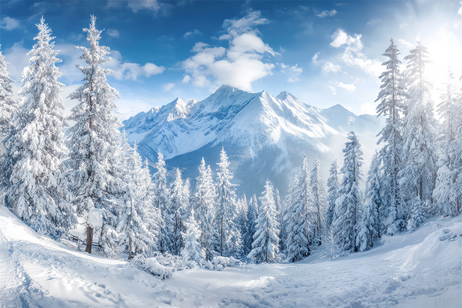 Snowy Forest Backdrop Winter Mountains Pine Valley Forest Backdrop TWW59-153