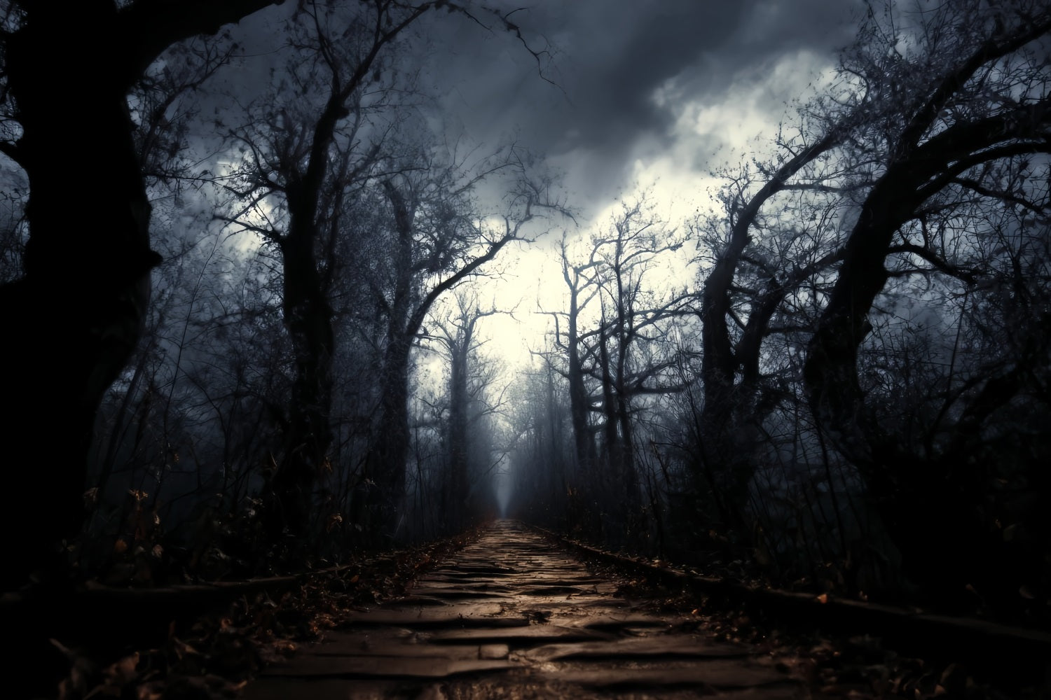 Spooky Forest Backdrop Dark Haunted Pathway Mist Dark Forest Backdrop TWW59-159