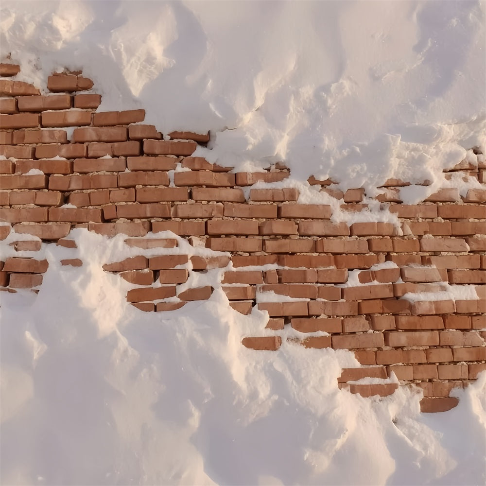 Brick Wall Backdrop Snow Covered Rustic Wall Brick Backdrop TWW59-160