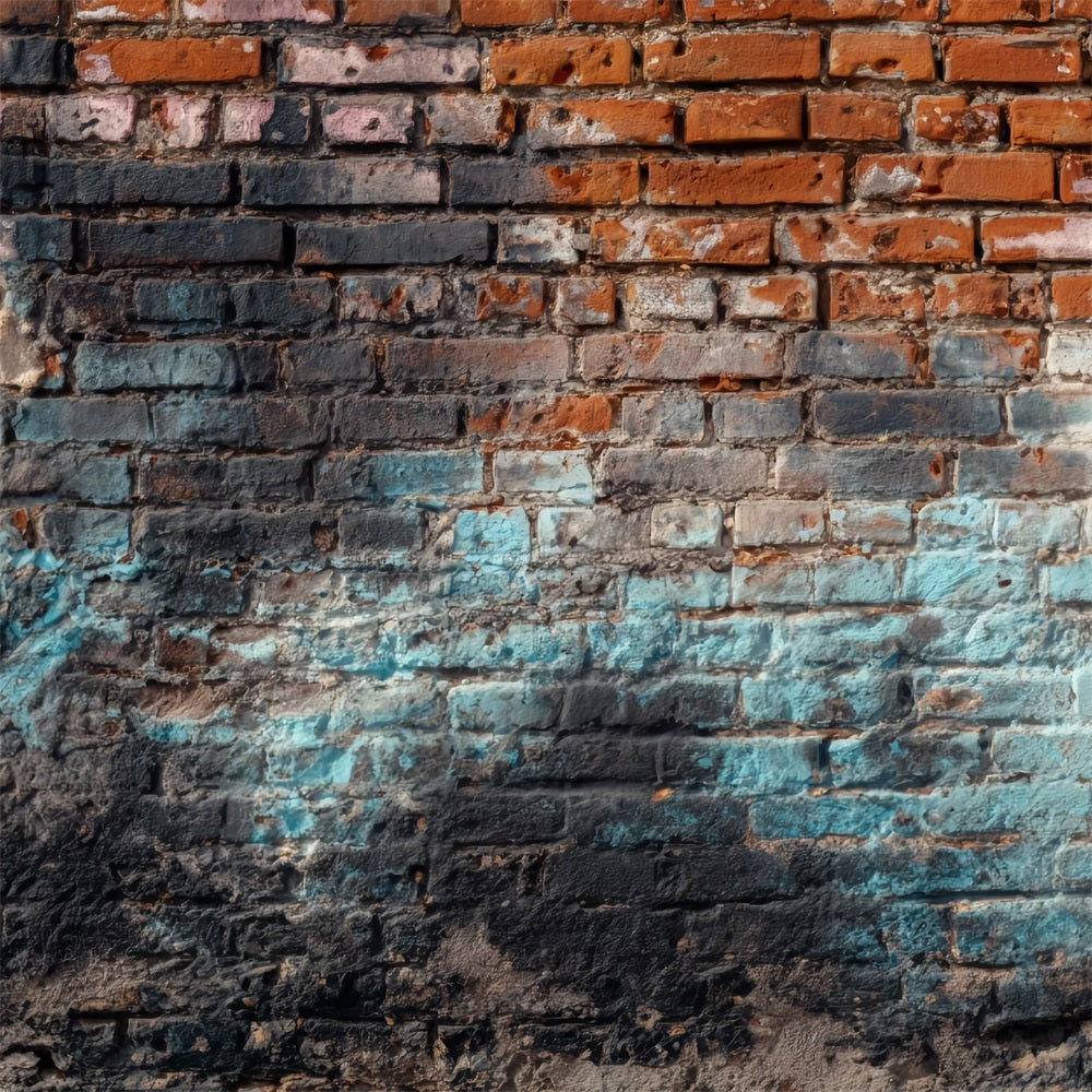 Brick Photography Backdrop Vintage Weathered Graffiti Wall Brick Backdrop TWW59-165