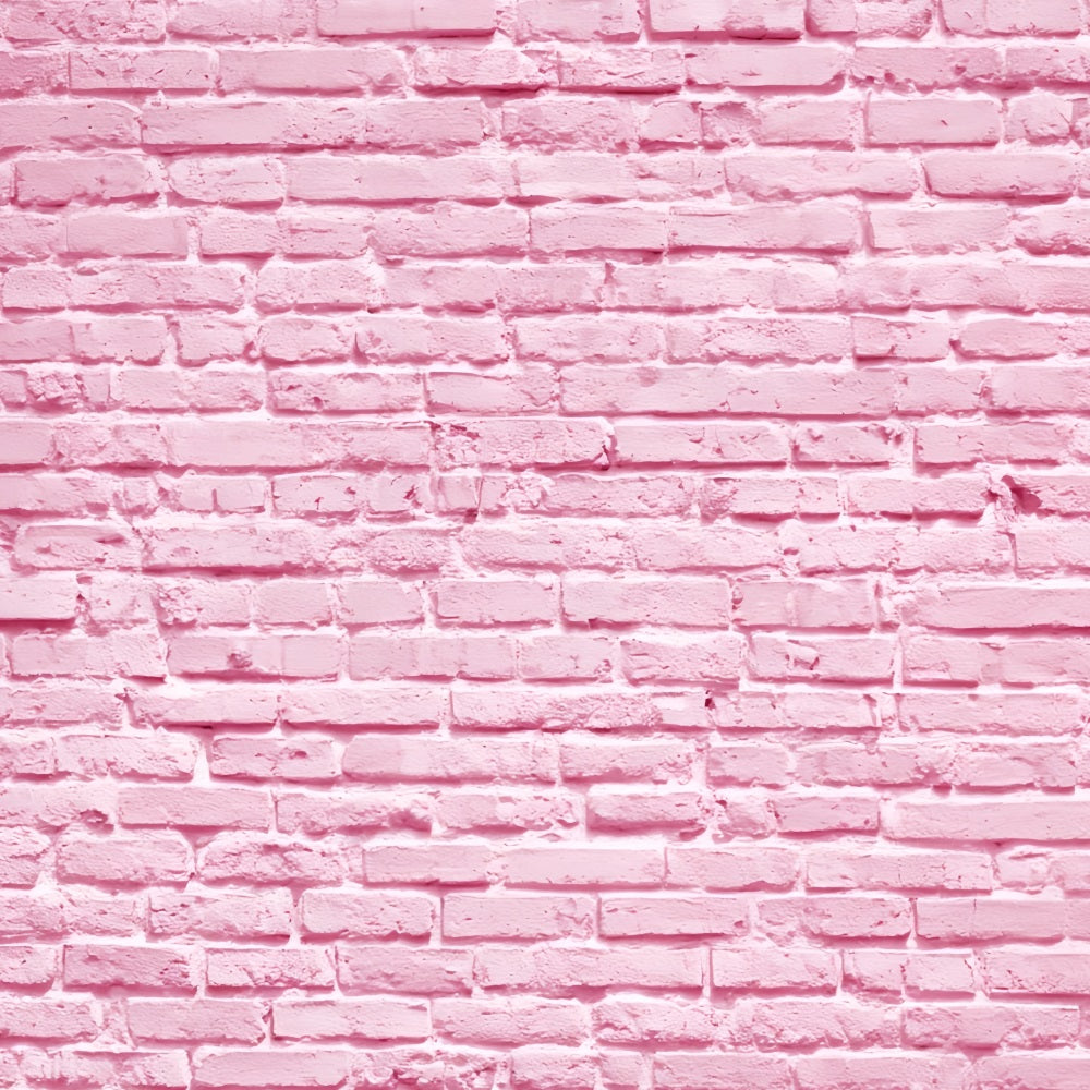 Brick Photo Backdrop Soft Pink Painted Wall Brick Wall Backdrop TWW59-169