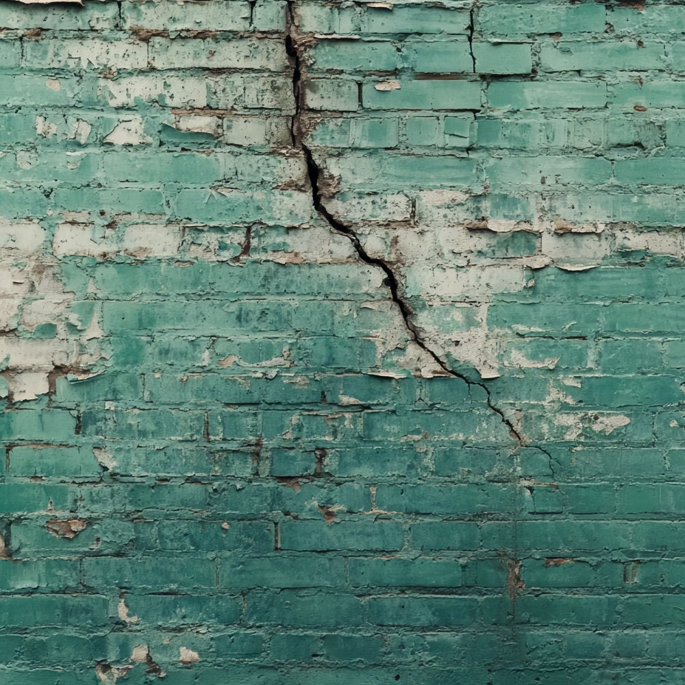Brick Wall Photo Backdrop Aged Green Cracked Wall Brick Backdrop TWW59-171