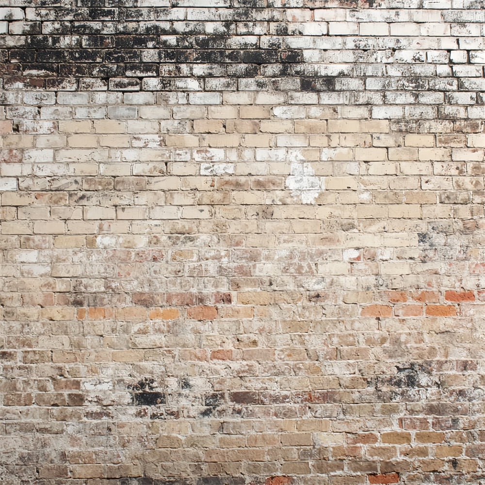 Brick Backdrop Photography Vintage Faded Rustic Wall Brick Backdrop TWW59-172