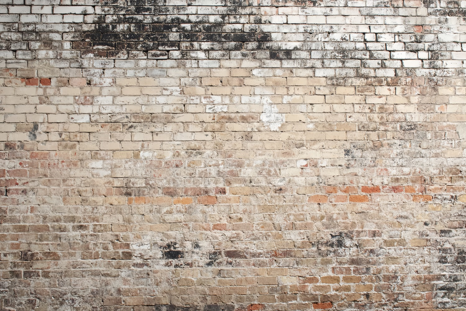 Brick Backdrop Photography Vintage Faded Rustic Wall Brick Backdrop TWW59-172