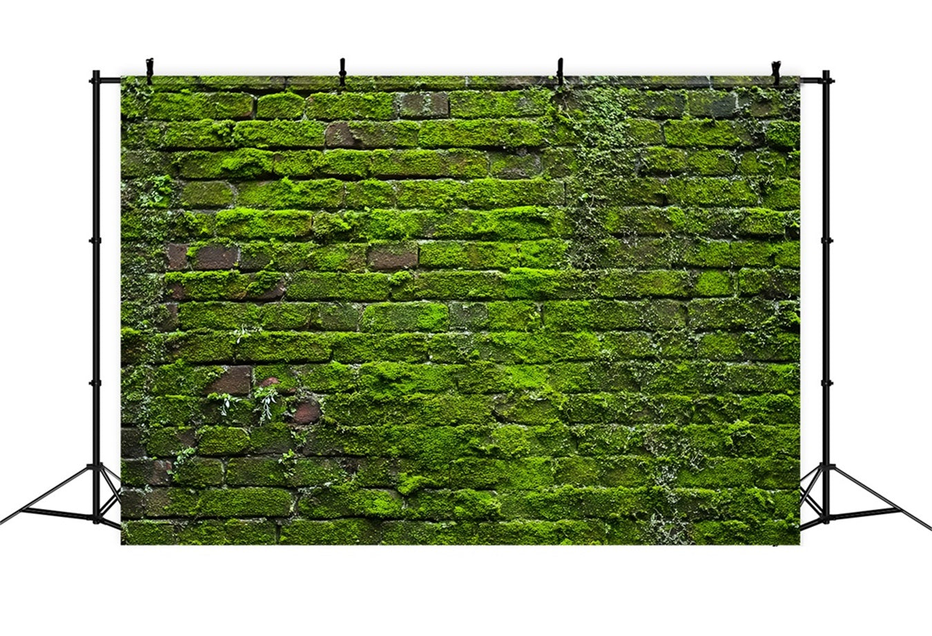Brick Wall Backdrops Green Moss Vintage Wall Brick Photo Backdrop TWW59-185