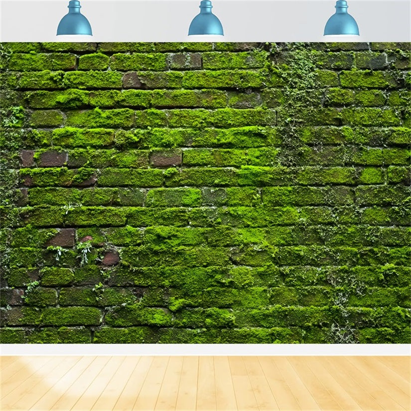 Brick Wall Backdrops Green Moss Vintage Wall Brick Photo Backdrop TWW59-185