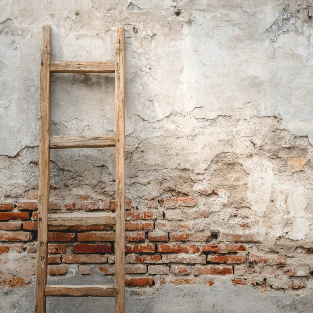 Brick Photography Backdrop Concrete Wall Wood Ladder Brick Backdrop TWW59-186