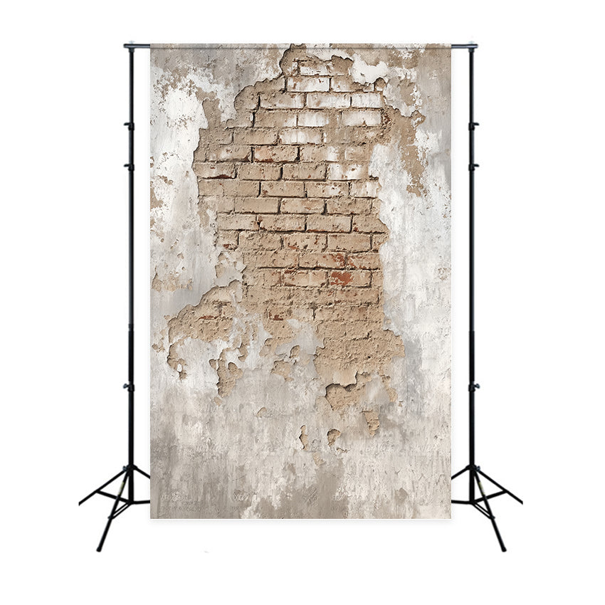 Brick Photo Backdrop Aged Plaster Exposed Brickwork Brick Backdrop TWW59-191