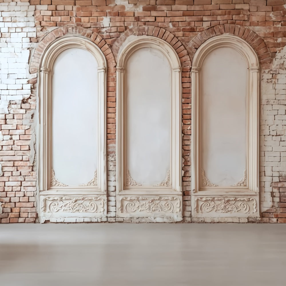 Brick Backdrops Vintage Arched Brick Panels Brick Wall Backdrops TWW59-205
