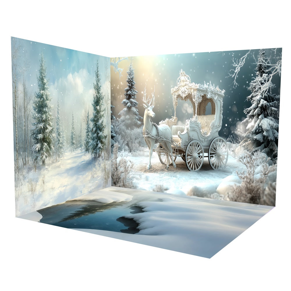 Christmas Backdrops For Photos Snowy Carriage Winter Backdrop Room Set TWW6-106