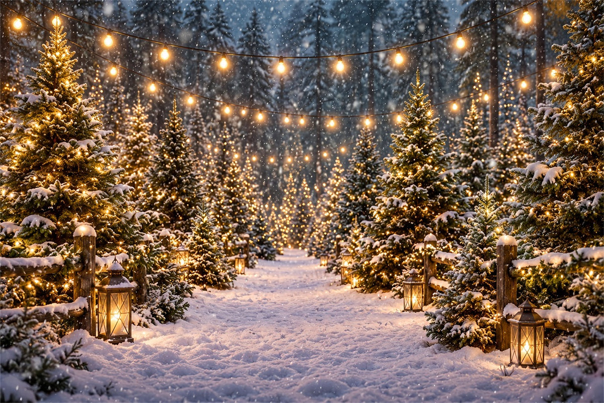 Christmas Tree Farm Backdrop Snowy Lantern Forest Path Christmas Tree Backdrops ZTT610-16