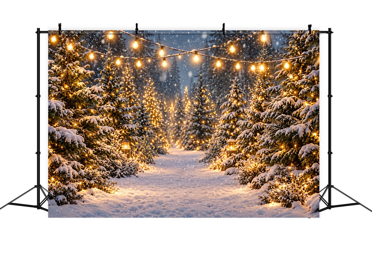 Christmas Tree Farm Backdrop Glowing Snowy Forest Path Christmas Tree Backdrops ZTT610-46