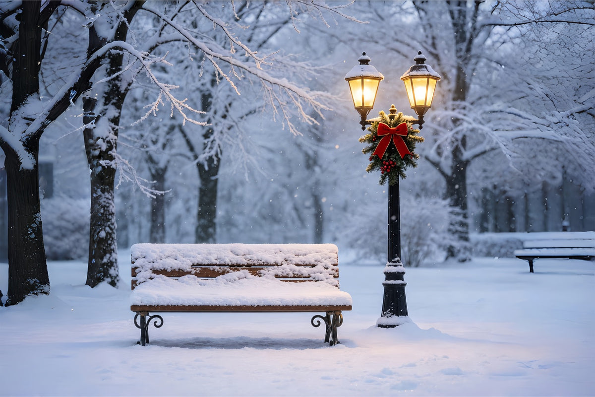 Christmas Snow Backdrop Snowy Bench Lantern Glow Christmas Muslin Backdrops ZTT69-11
