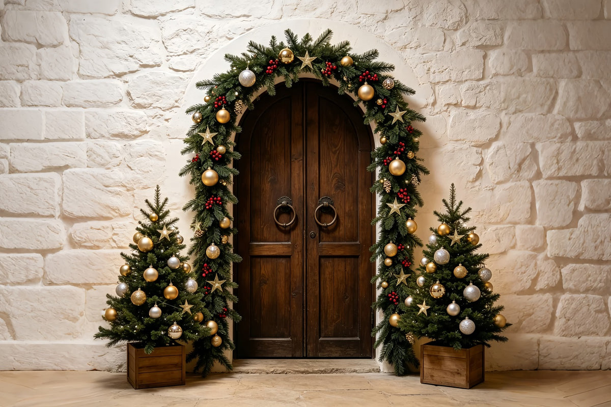 Simple Christmas Backdrop Stone Arch Garland Entrance Christmas Photo Backdrop ZTT69-14