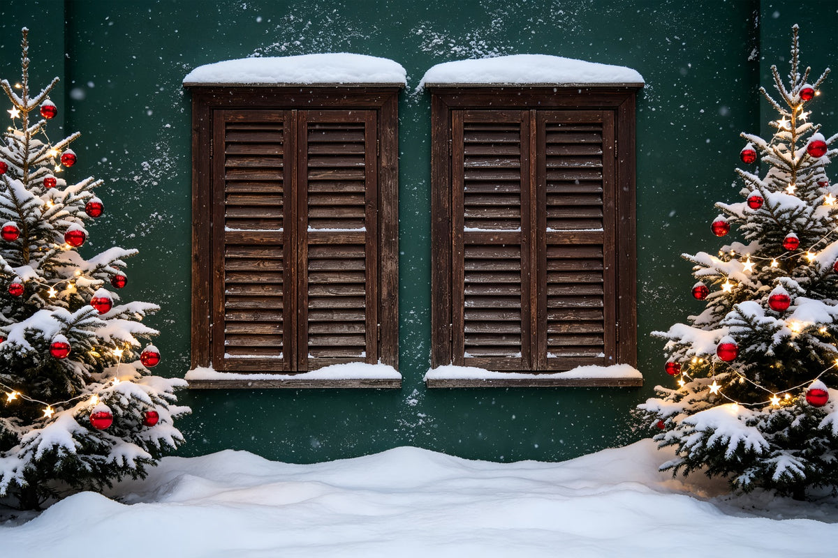 Country Christmas Backdrop Snowy Window Shutters Backdrops Christmas ZTT69-25
