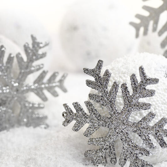Winter Snowball Snowflake Photo Backdrop LV-962