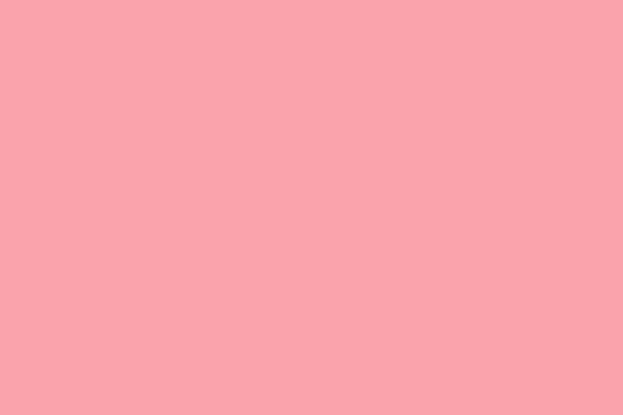 Solid Color Portrait Photography Backdrop Baby Pink Photo Background SC6