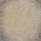 Abstract Beige Texture  Photo Booth Backdrop 