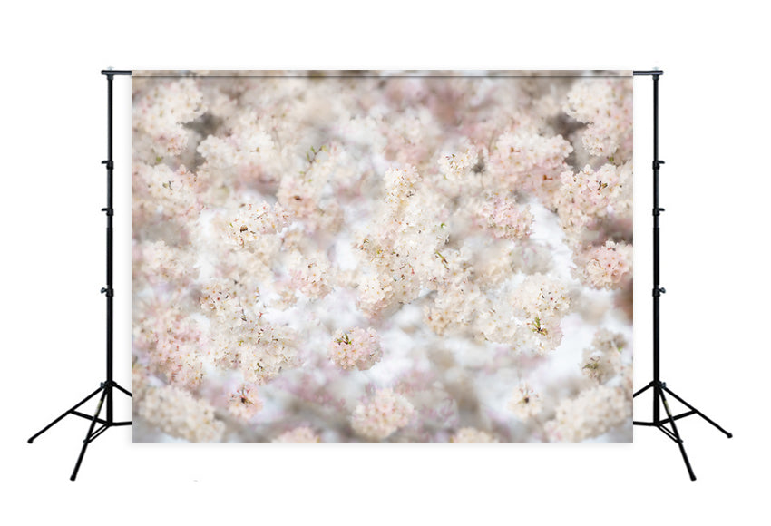 White Pink Spring Flowers Photography Backdrop Designed by Beth Hrachovina