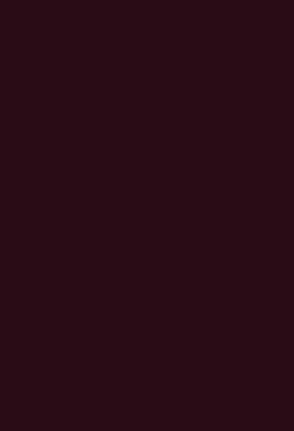 Solid Color Dark Burgandy  Photography Backdrop