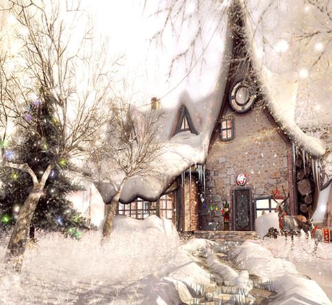 Merry Christmas Photography Backdrop Theme Tree Fairytale House CM-6488