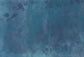 Vintage Blue Fine Art Floral Backdrop
