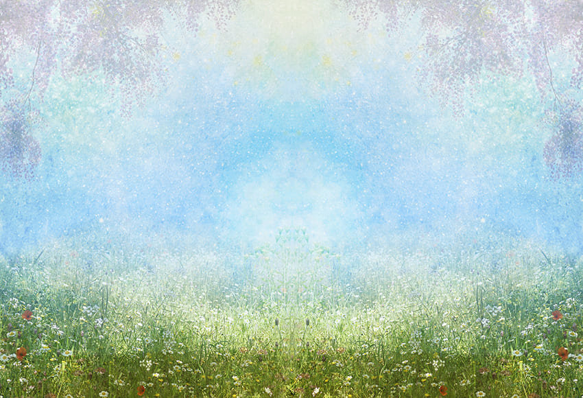 Wild Flowers Field Spring Photography Backdrop D1065