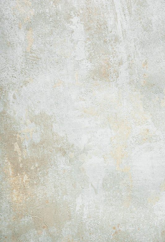 Abstarct Stucco Wall Texture Backdrop for Photo Studio D171