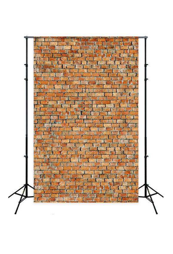 Vinatge Brick Wall Texture Photography Backdrop D-255