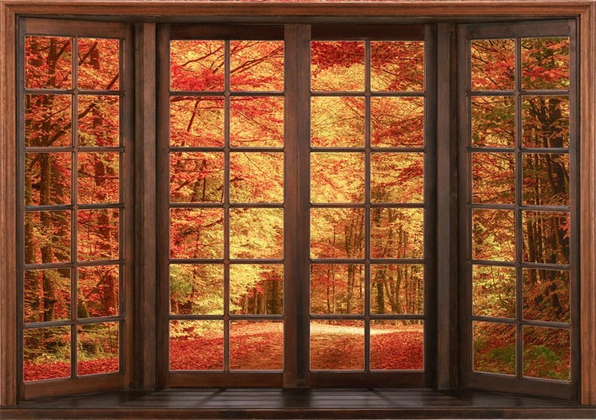 Outside Window Backdrop Fall Red Leaves Outside The Window Photography Autumn Backdrop DD701