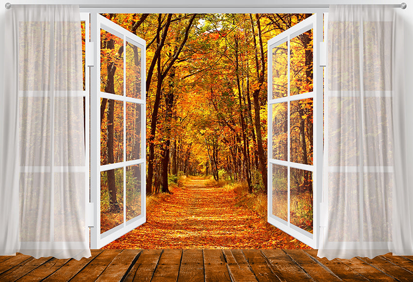 Fall Scene Outside The Window Photography Backdrop D797