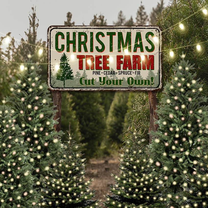 Christmas Tree Farm String Lights Backdrop for Photography D830 – Dbackdrop