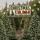 Christmas Tree Farm String Lights Backdrop for Photography